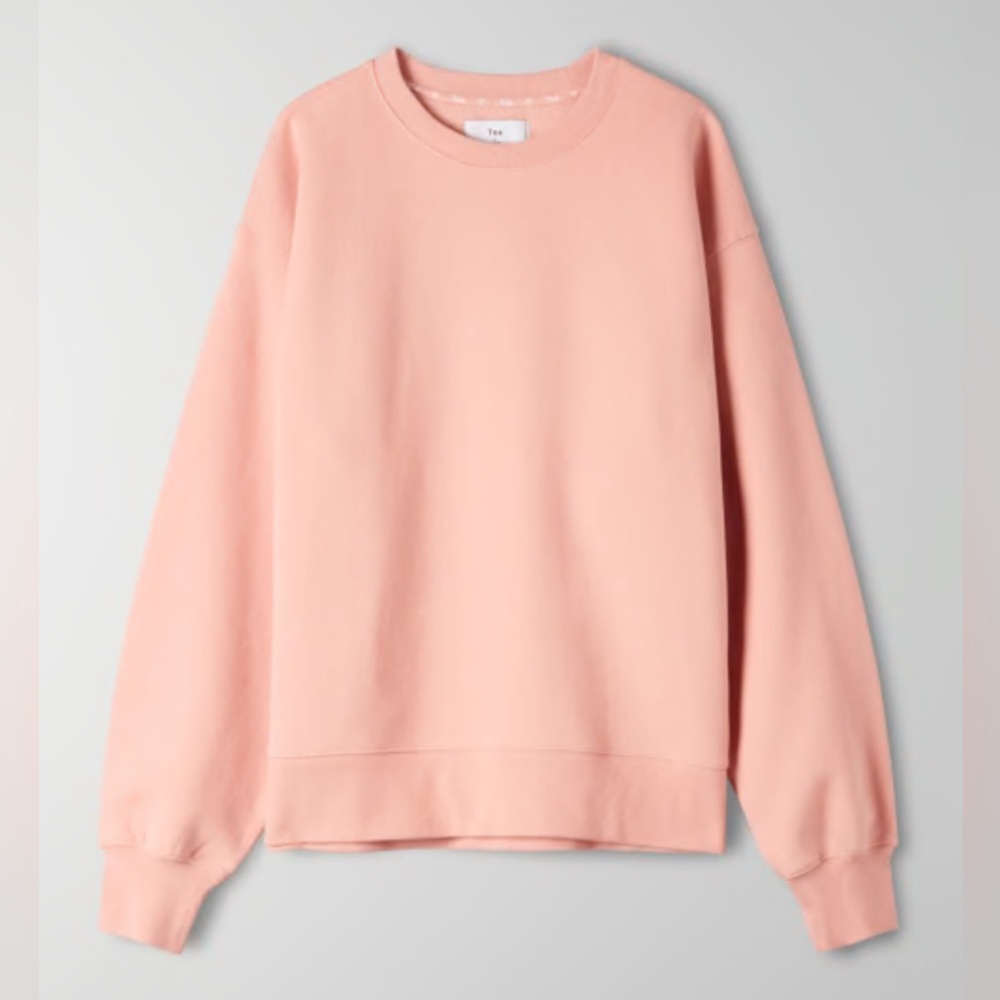 Aritzia TNA The Oversized Crew Sweatshirt